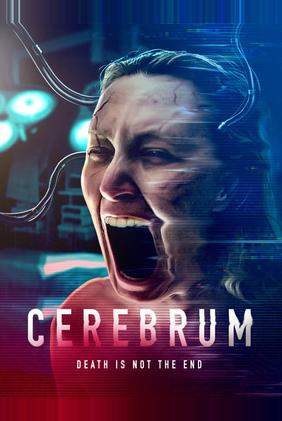 Cerebrum